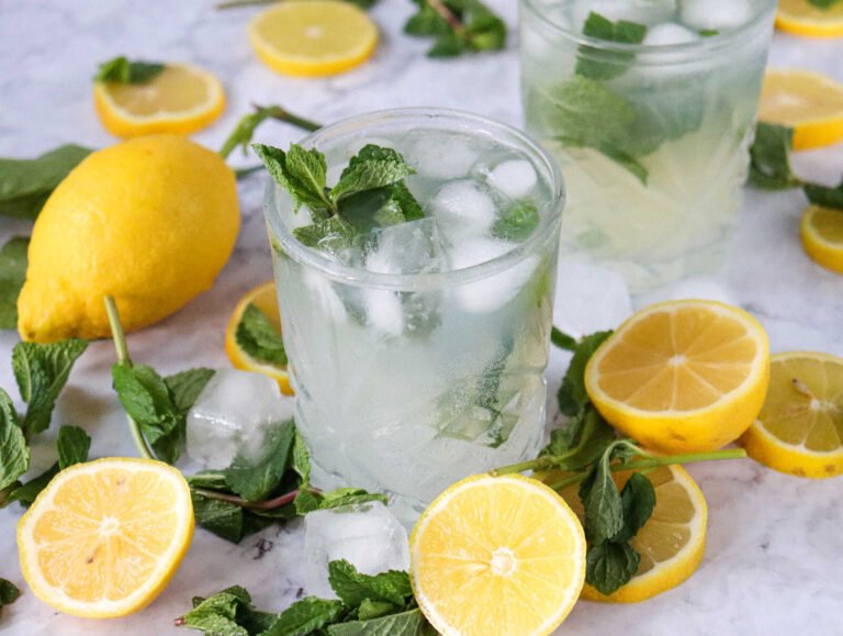 Lemon mojito mocktail with mint, ice, and fresh lemon slices in a glass.